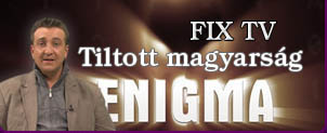 FIX TV Eminga